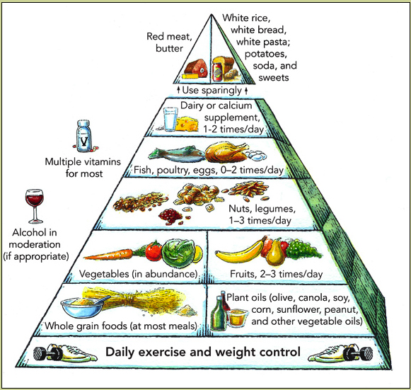 Mediterranean food pyramid composition